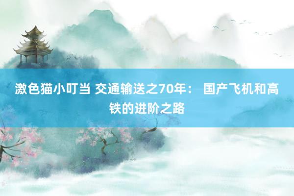   激色猫小叮当 交通输送之70年： 国产飞机和高铁的进阶之路