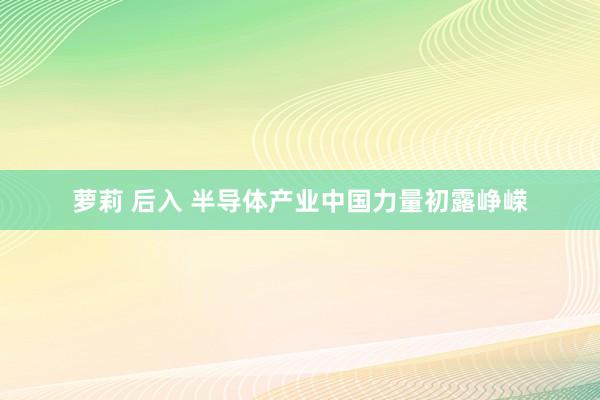   萝莉 后入 半导体产业中国力量初露峥嵘