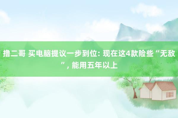   撸二哥 买电脑提议一步到位: 现在这4款险些“无敌”, 能用五年以上