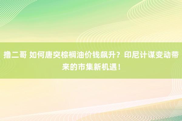   撸二哥 如何唐突棕榈油价钱飙升？印尼计谋变动带来的市集新机遇！