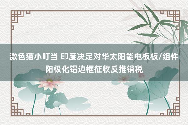   激色猫小叮当 印度决定对华太阳能电板板/组件阳极化铝边框征收反推销税