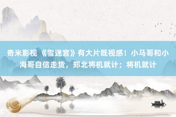   奇米影视 《雪迷宫》有大片既视感！小马哥和小海哥自信走货，郑北将机就计；将机就计