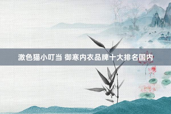   激色猫小叮当 御寒内衣品牌十大排名国内