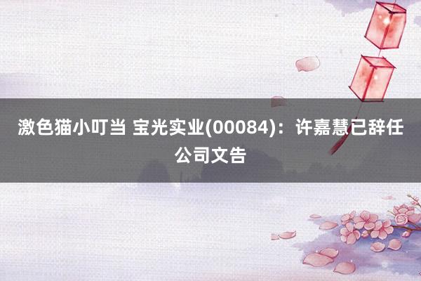   激色猫小叮当 宝光实业(00084)：许嘉慧已辞任公司文告