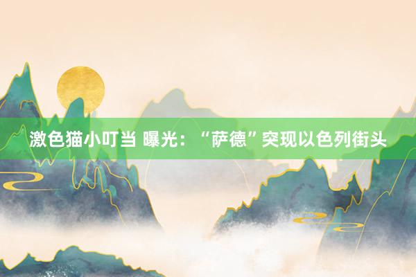   激色猫小叮当 曝光：“萨德”突现以色列街头