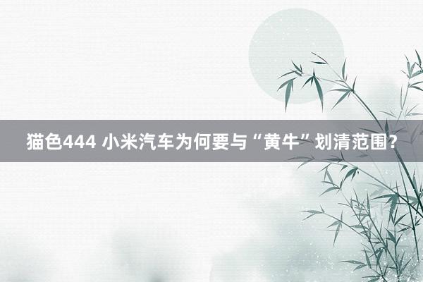 猫色444 小米汽车为何要与“黄牛”划清范围？
