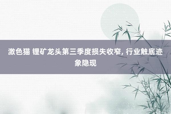 激色猫 锂矿龙头第三季度损失收窄， 行业触底迹象隐现