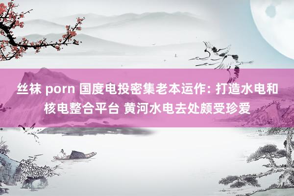   丝袜 porn 国度电投密集老本运作: 打造水电和核电整合平台 黄河水电去处颇受珍爱