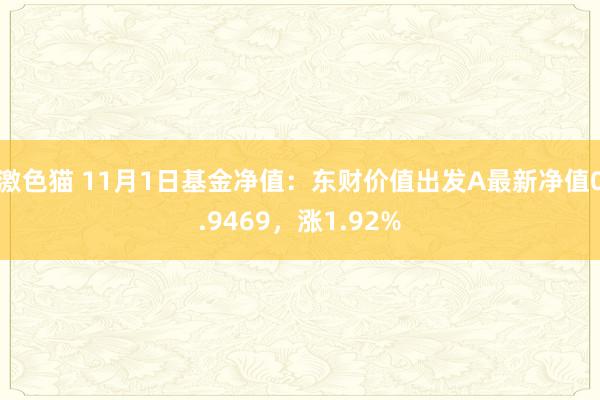激色猫 11月1日基金净值：东财价值出发A最新净值0.9469，涨1.92%