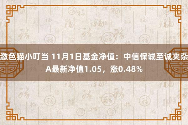   激色猫小叮当 11月1日基金净值：中信保诚至诚夹杂A最新净值1.05，涨0.48%