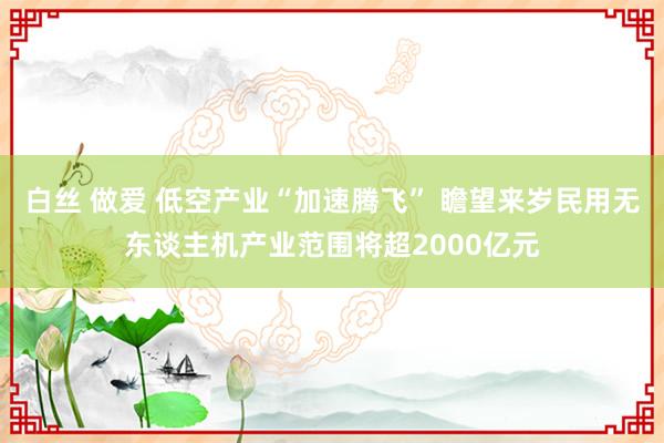   白丝 做爱 低空产业“加速腾飞” 瞻望来岁民用无东谈主机产业范围将超2000亿元
