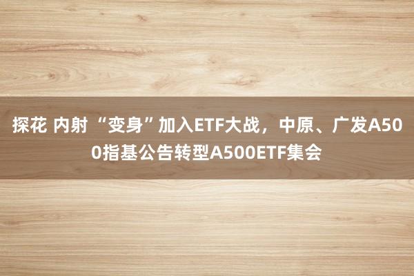   探花 内射 “变身”加入ETF大战，中原、广发A500指基公告转型A500ETF集会