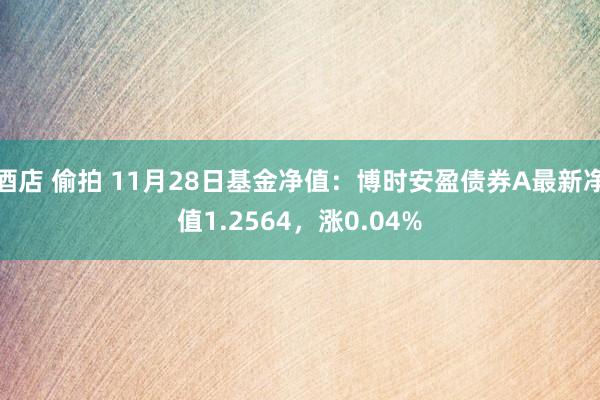   酒店 偷拍 11月28日基金净值：博时安盈债券A最新净值1.2564，涨0.04%