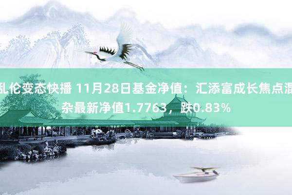 乱伦变态快播 11月28日基金净值：汇添富成长焦点混杂最新净值1.7763，跌0.83%