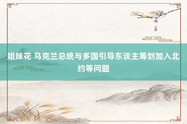  姐妹花 乌克兰总统与多国引导东谈主筹划加入北约等问题