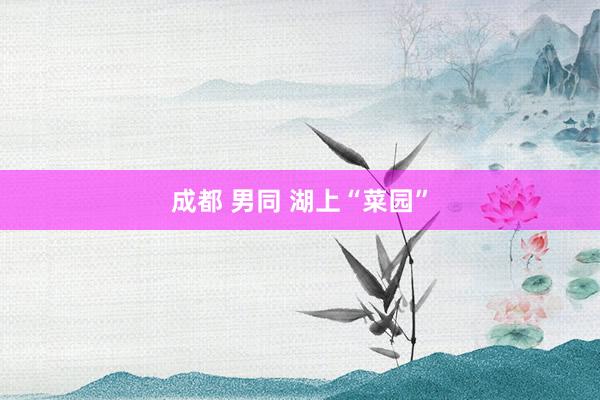   成都 男同 湖上“菜园”