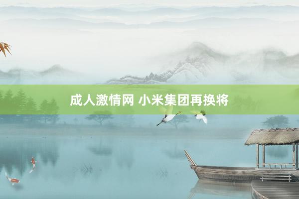   成人激情网 小米集团再换将