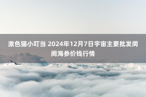   激色猫小叮当 2024年12月7日宇宙主要批发阛阓海参价钱行情