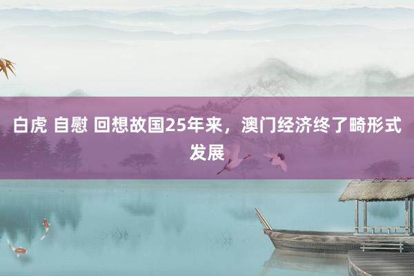   白虎 自慰 回想故国25年来，澳门经济终了畸形式发展