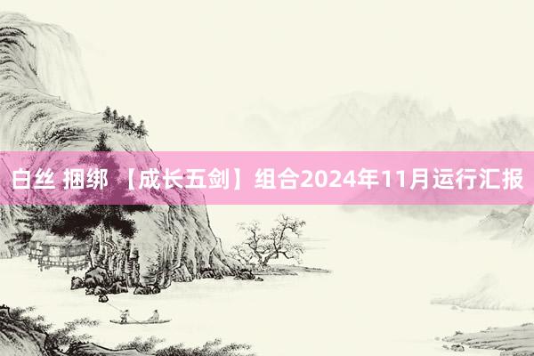   白丝 捆绑 【成长五剑】组合2024年11月运行汇报