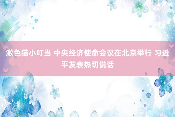   激色猫小叮当 中央经济使命会议在北京举行 习近平发表热切说话