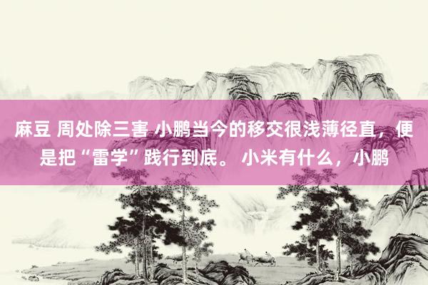   麻豆 周处除三害 小鹏当今的移交很浅薄径直，便是把“雷学”践行到底。 小米有什么，小鹏