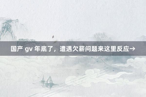   国产 gv 年底了，遭遇欠薪问题来这里反应→