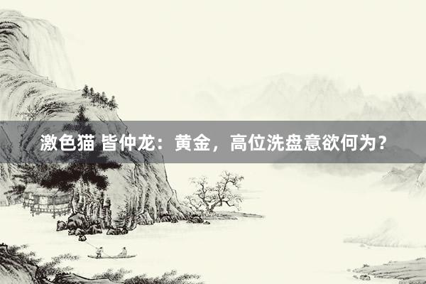   激色猫 皆仲龙：黄金，高位洗盘意欲何为？