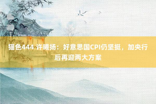   猫色444 许曦扬：好意思国CPI仍坚挺，加央行后再迎两大方案