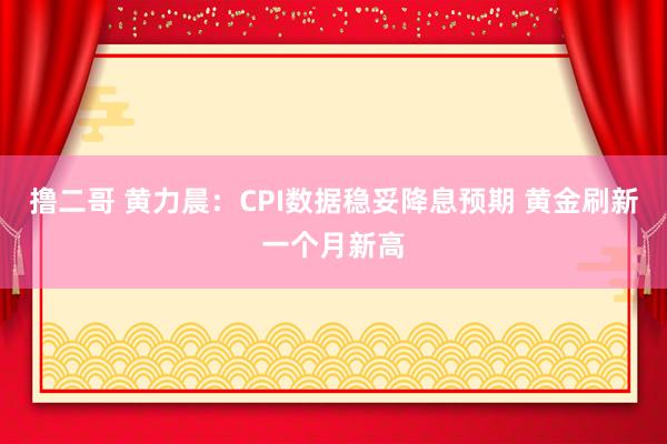   撸二哥 黄力晨：CPI数据稳妥降息预期 黄金刷新一个月新高