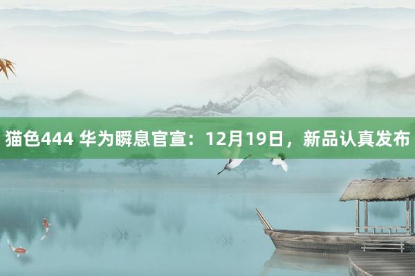   猫色444 华为瞬息官宣：12月19日，新品认真发布
