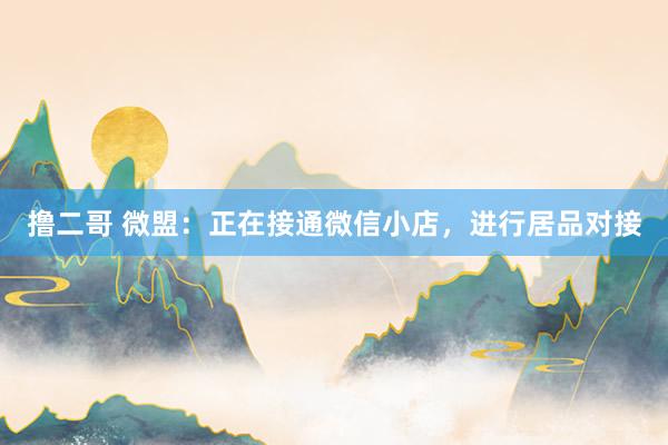  撸二哥 微盟：正在接通微信小店，进行居品对接