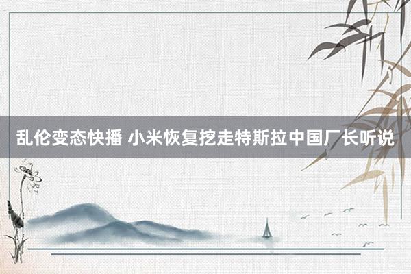   乱伦变态快播 小米恢复挖走特斯拉中国厂长听说
