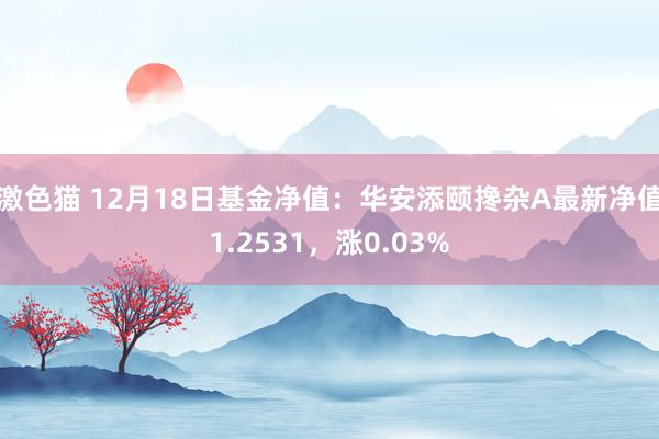   激色猫 12月18日基金净值：华安添颐搀杂A最新净值1.2531，涨0.03%