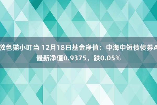   激色猫小叮当 12月18日基金净值：中海中短债债券A最新净值0.9375，跌0.05%