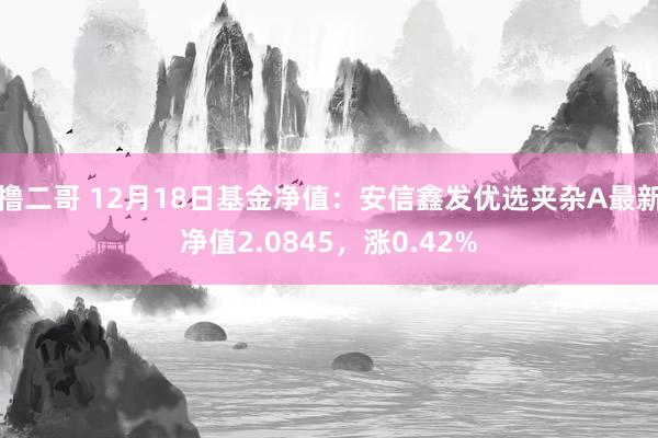   撸二哥 12月18日基金净值：安信鑫发优选夹杂A最新净值2.0845，涨0.42%