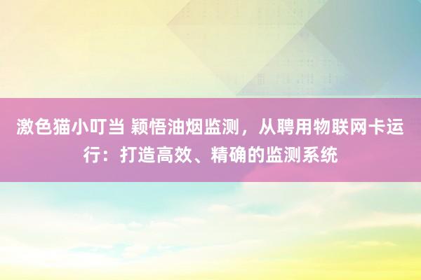   激色猫小叮当 颖悟油烟监测，从聘用物联网卡运行：打造高效、精确的监测系统
