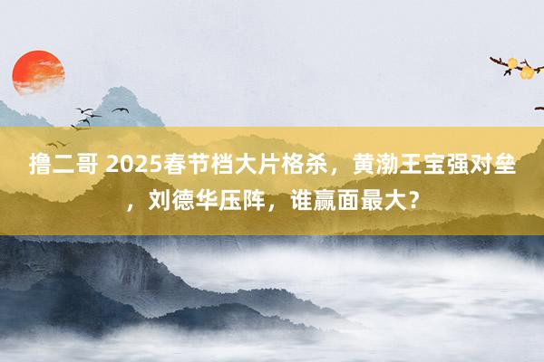   撸二哥 2025春节档大片格杀，黄渤王宝强对垒，刘德华压阵，谁赢面最大？