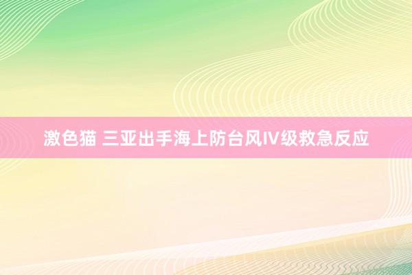   激色猫 三亚出手海上防台风Ⅳ级救急反应