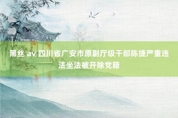   黑丝 av 四川省广安市原副厅级干部陈捷严重违法坐法被开除党籍