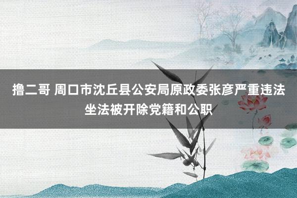   撸二哥 周口市沈丘县公安局原政委张彦严重违法坐法被开除党籍和公职