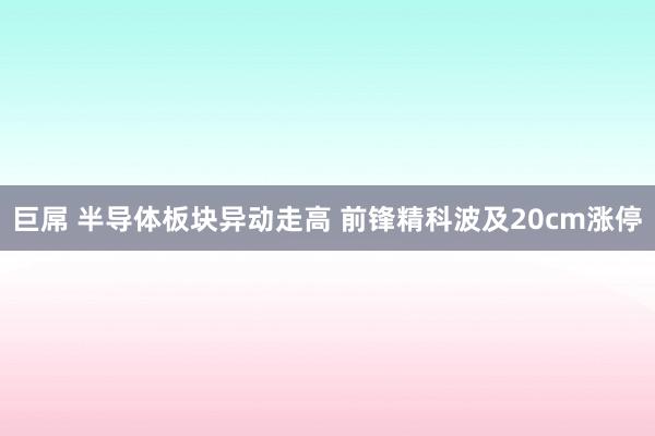   巨屌 半导体板块异动走高 前锋精科波及20cm涨停