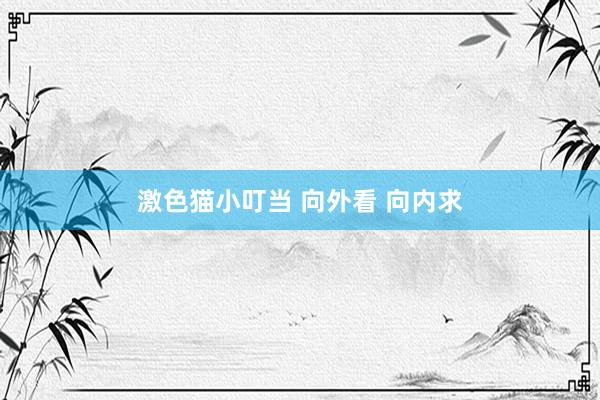   激色猫小叮当 向外看 向内求