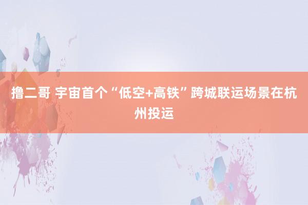  撸二哥 宇宙首个“低空+高铁”跨城联运场景在杭州投运