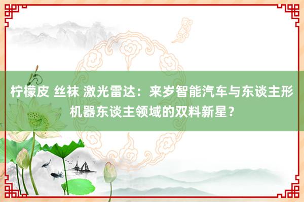   柠檬皮 丝袜 激光雷达：来岁智能汽车与东谈主形机器东谈主领域的双料新星？