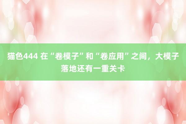   猫色444 在“卷模子”和“卷应用”之间，大模子落地还有一重关卡