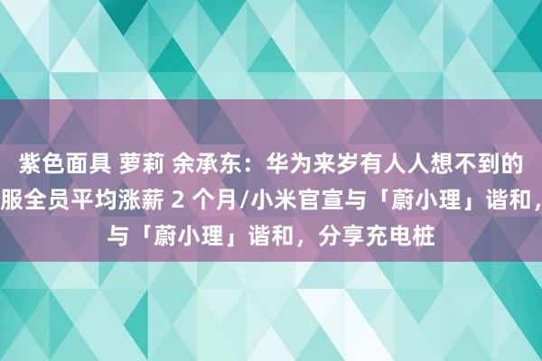   紫色面具 萝莉 余承东：华为来岁有人人想不到的居品/京东客服全员平均涨薪 2 个月/小米官宣与「蔚小理」谐和，分享充电桩