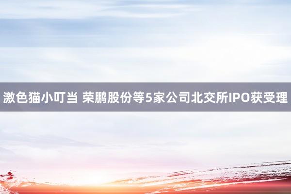  激色猫小叮当 荣鹏股份等5家公司北交所IPO获受理