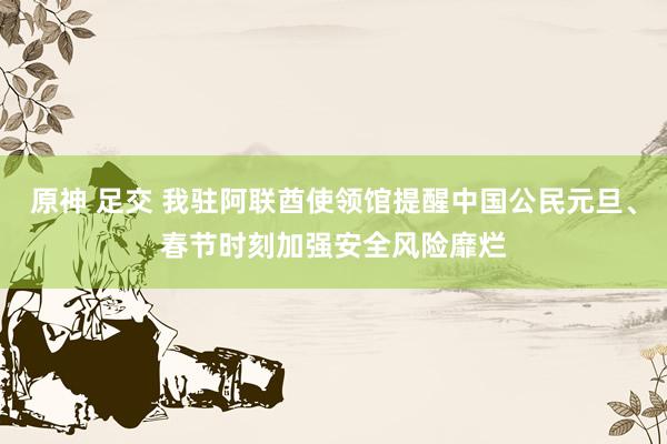   原神 足交 我驻阿联酋使领馆提醒中国公民元旦、春节时刻加强安全风险靡烂