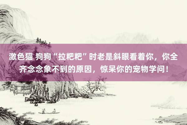  激色猫 狗狗“拉粑粑”时老是斜眼看着你，你全齐念念象不到的原因，惊呆你的宠物学问！
